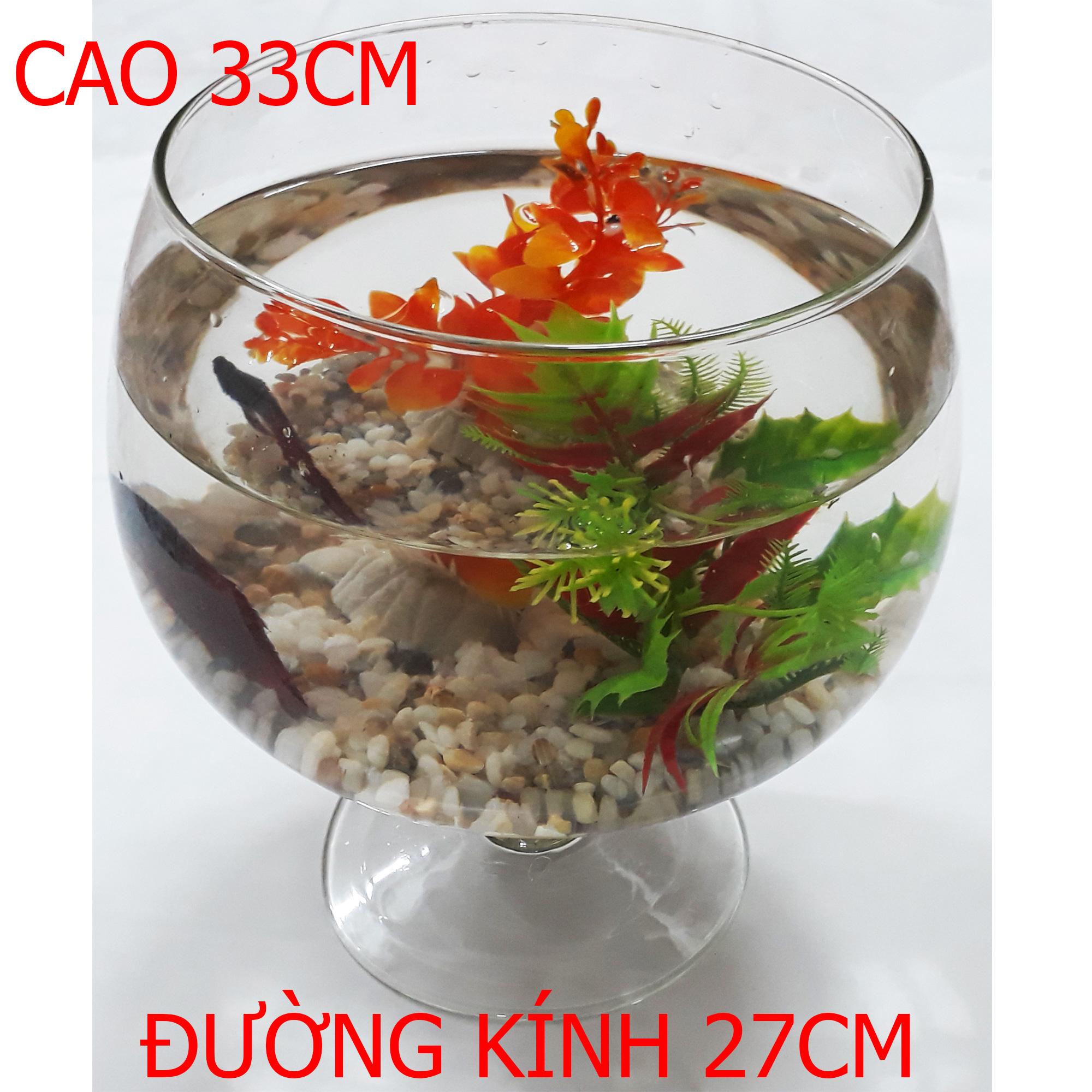Bể Cá Ly Đại - Hồ Cá Để Bàn - Chậu Cá Thủy Tinh LC-Đ 33x27x27