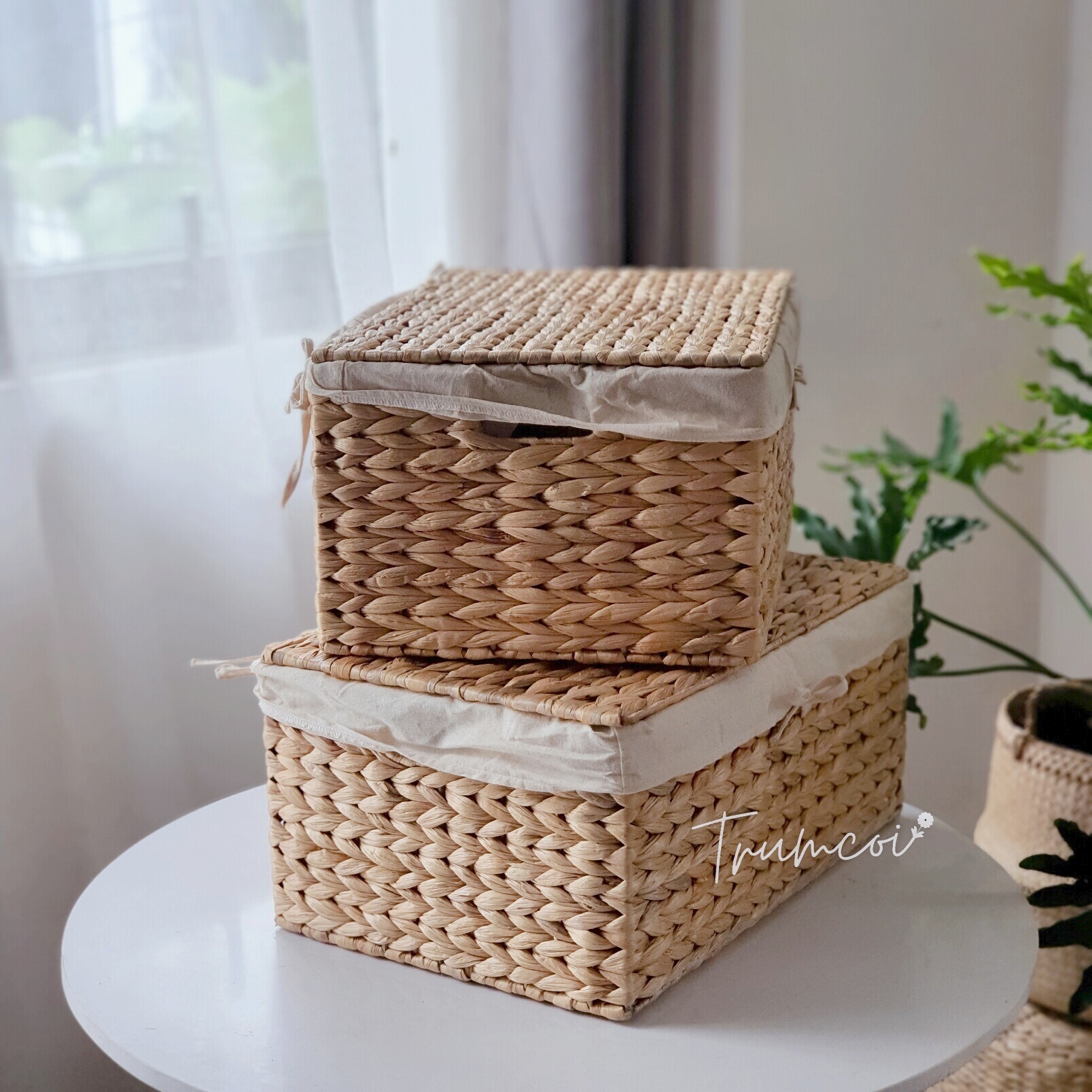 Hộp đựng lục bình có nắp size S