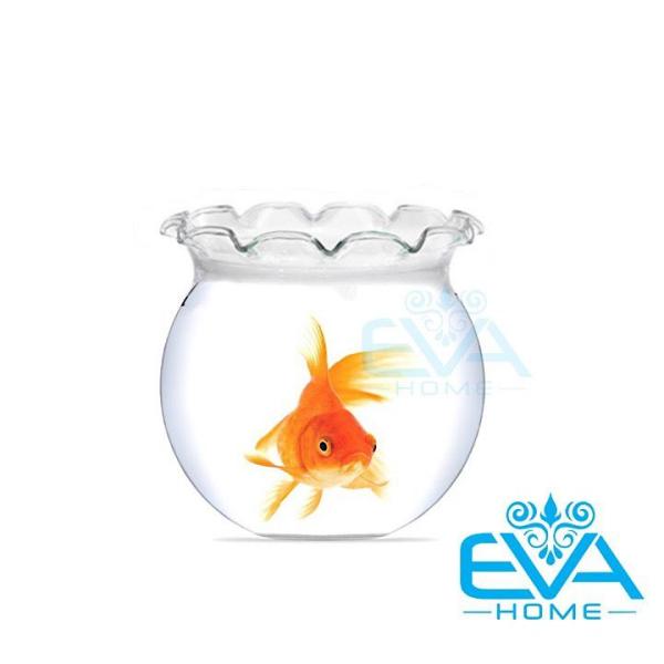 [HCM]Hồ Cá Bể Cá Miệng Bèo Thuỷ Tinh Mini B9 6 x 7 Cm Tặng Kèm Sỏi Và Rong Trang Trí