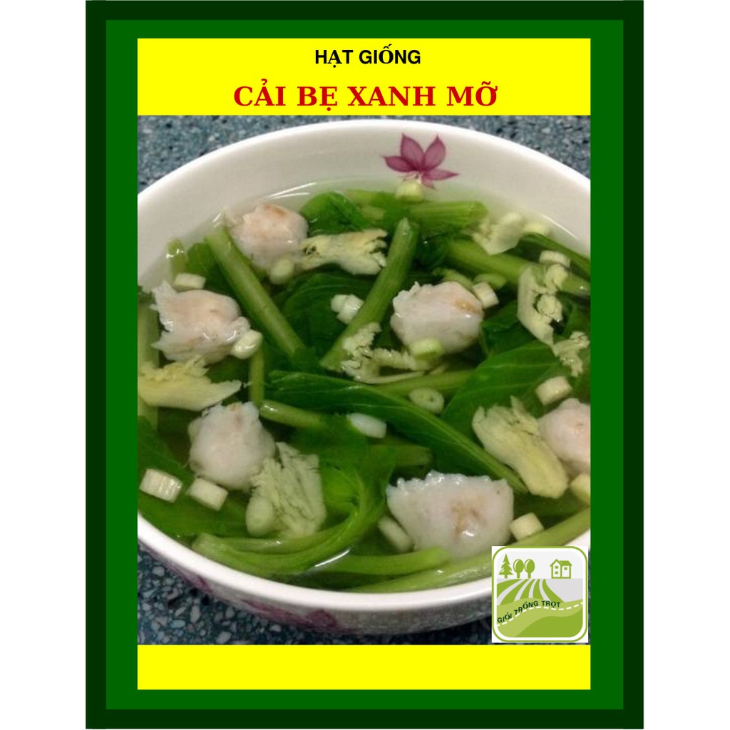 50G - Hạt Giống Cải Bẹ Xanh Mỡ