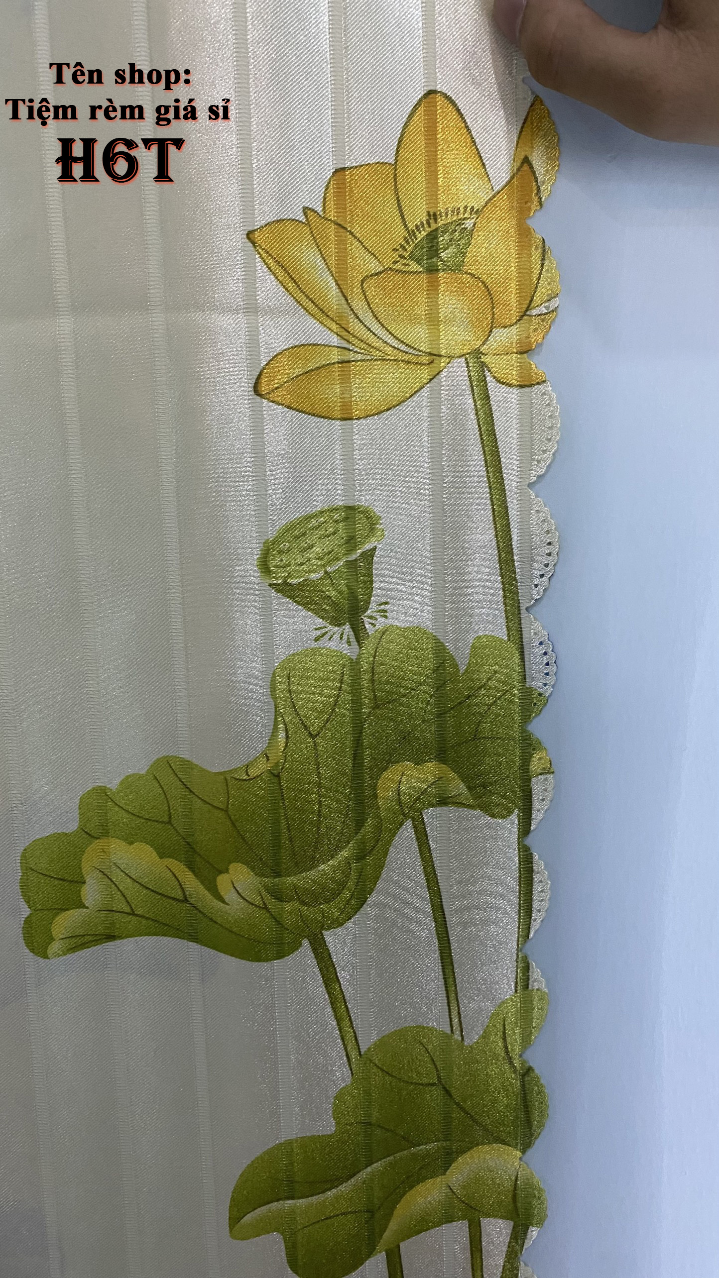 Màn cửa sổ hoặc màn cửa chính