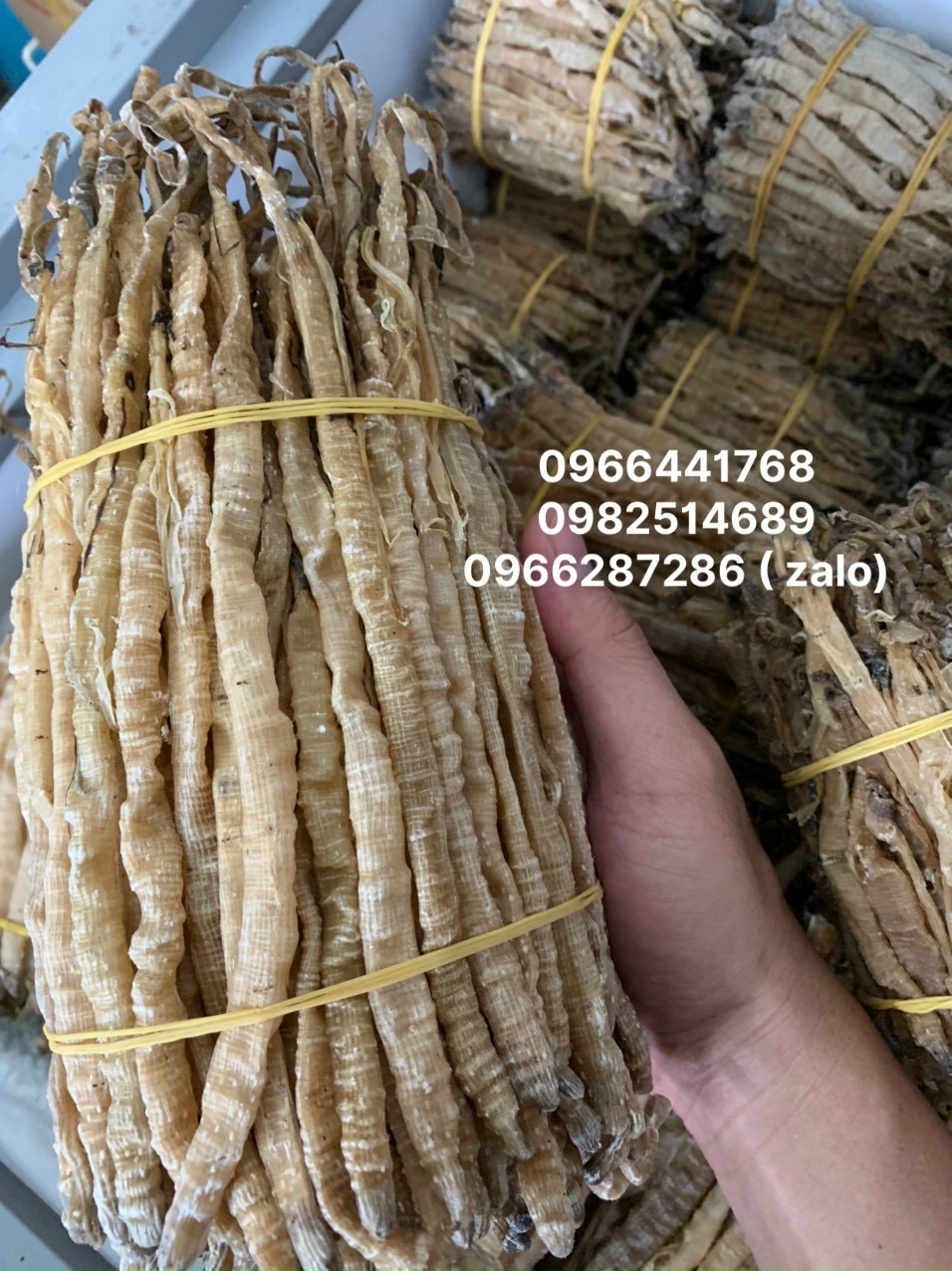100g sá -sùng đại loại cao cấp