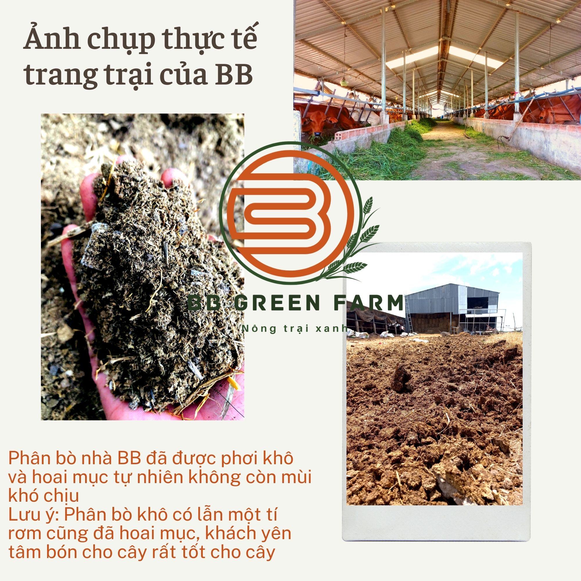 Phân bò khô - BB Green Farm (5dm3)