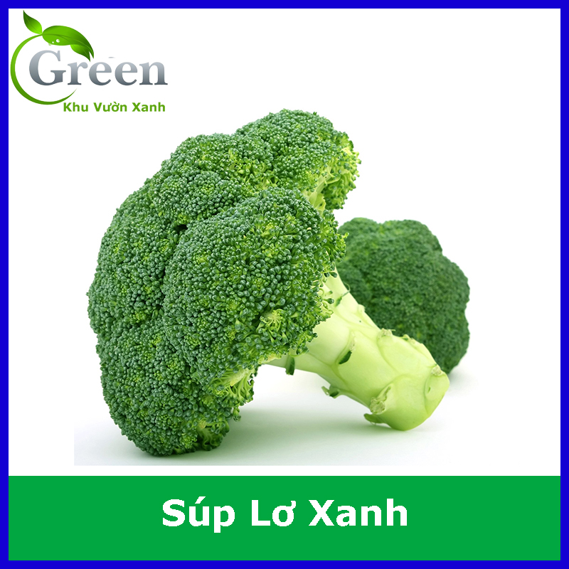 Hạt Giống Bông Cải Xanh (Súp Lơ Xanh) Thái Lan Năng Suất Cao, Bông Mịn Chắc