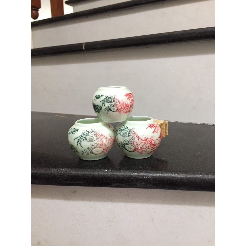 Cóng chim chào mào, chòe than, chòe lửa, my, cóng chim rẻ đẹp