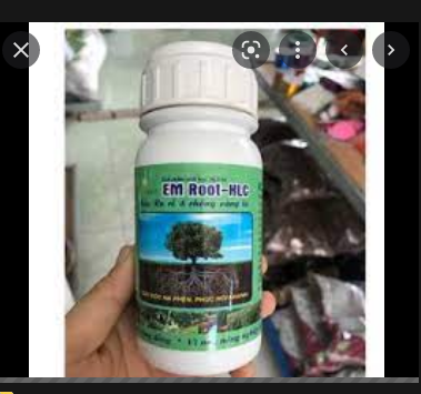 Ra rễ cực mạnh- Bật đọt - Hạ phèn giả độc - EM Root- HLC. Chai 500 ml