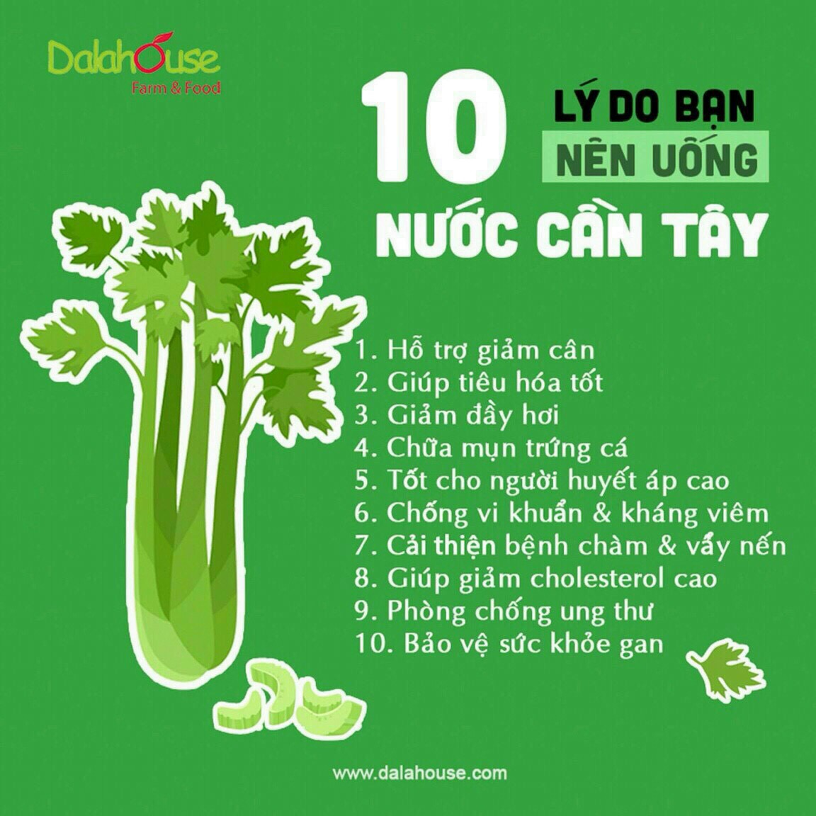 Bột Cần Tây SITOKATA - Giảm Cân - Đẹp Da ( Tặng kèm chai + Cẩm nang giảm cân)