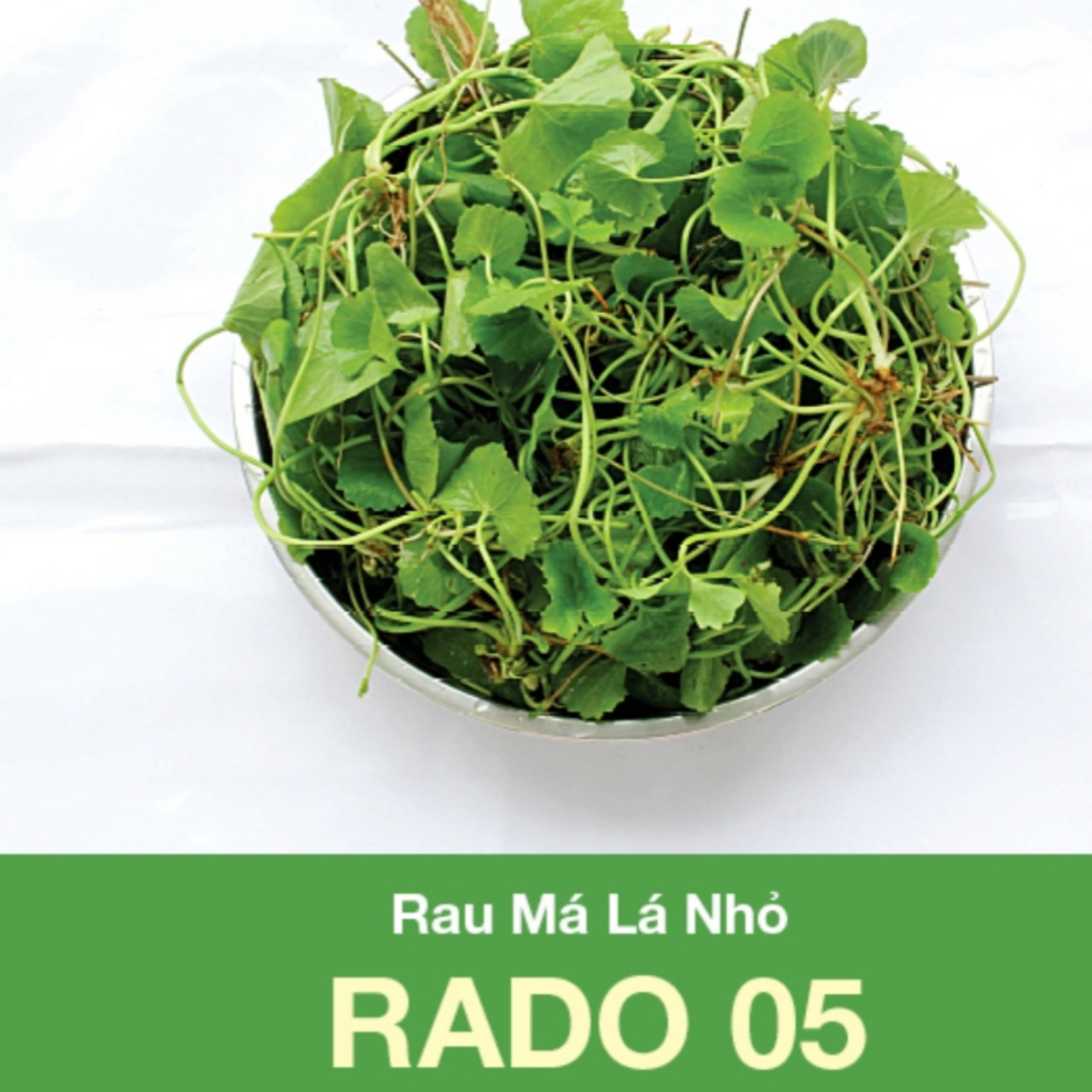 [HCM]Hạt giống rau má lá nhỏ RADO 05