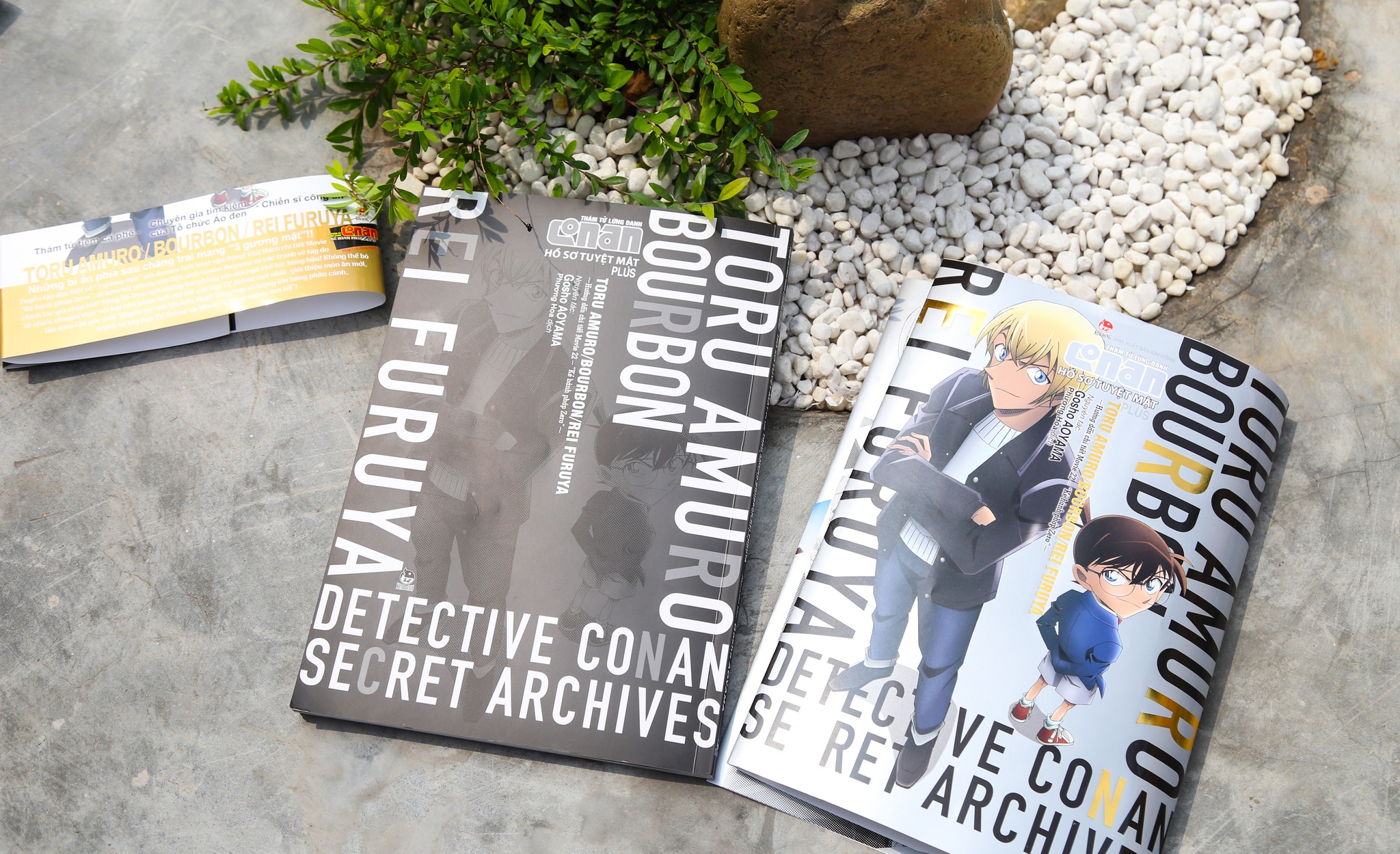 Thám Tử Lừng Danh Conan - Hồ Sơ Tuyệt Mật (Chang Book)