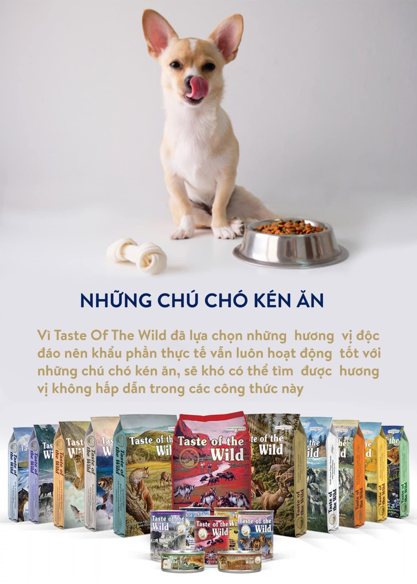 Hạt chó TASTE OF THE WILD (bao nguyên seal 2kg)