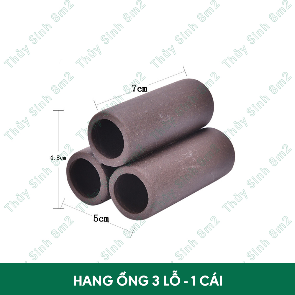 Hang pleco, hang gốm, hang cá, ống gốm đồ chơi tép, ống lỗ | 8m2