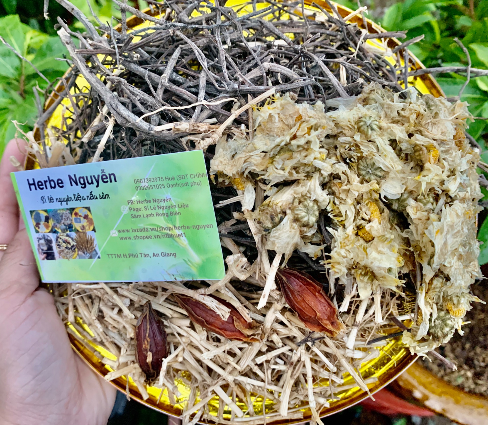 🍀Sâm bông cúc rễ tranh☘️1 phần nấu 10L🍀