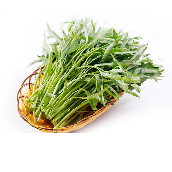 [Sale  off] Hạt giống rau muống ăn lá