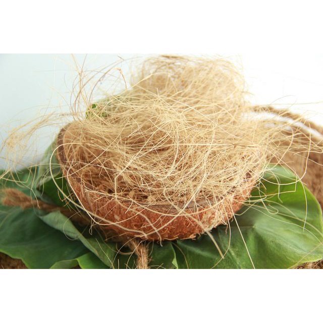 100g Chỉ dừa - xơ dừa sợi gói nhỏ