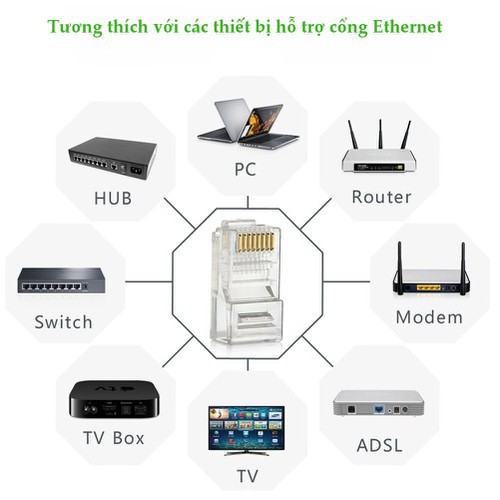 Hạt mạng RJ45 Cat5e Ugreen 20331 (Hộp 50 Hạt) - Hàng