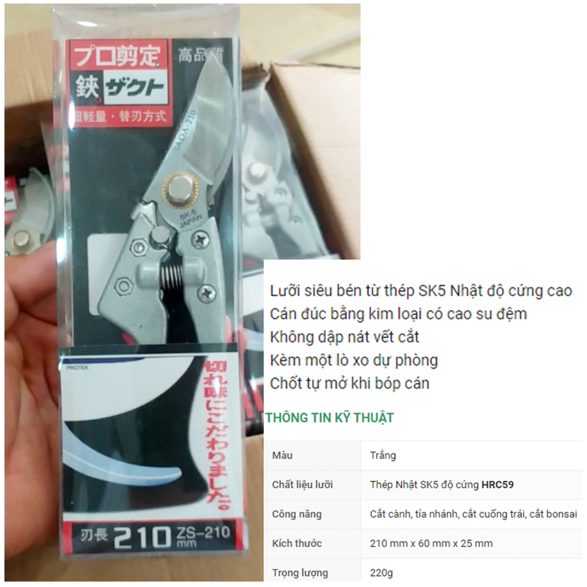 Kéo cắt cành lưỡi thép Japan