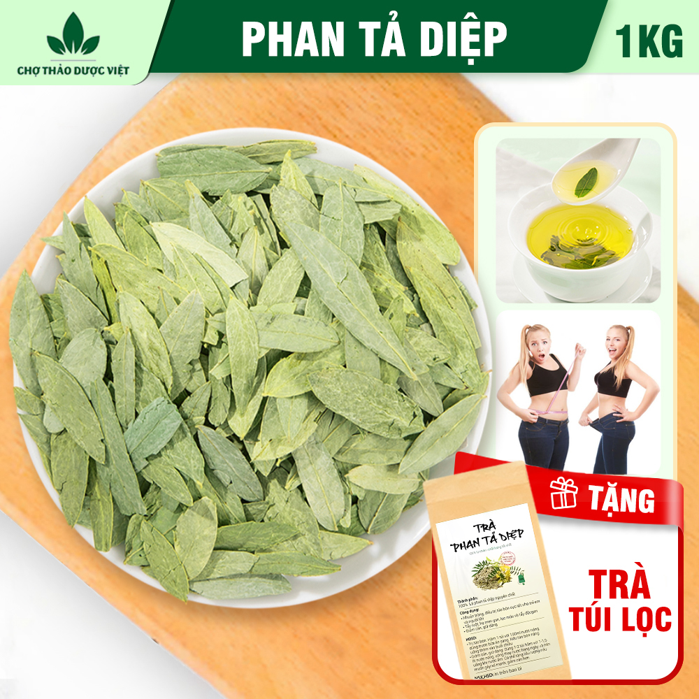 Phan Taa Diep 1kg, Dried Phan Taa Diep Leaves, Clean, Crumb-Free, Without Impurities - Viet Herbal Market