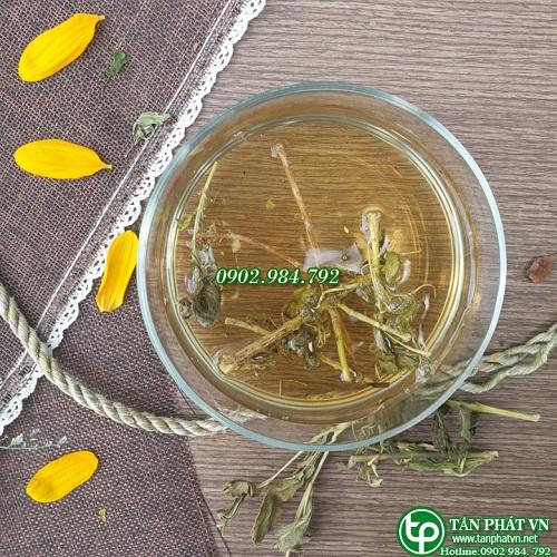 [Túi Lớn Loại 1KG] Cây dừa cạn sấy khô - hàng công ty chất lượng cao - chuyên dùng để pha trà hỗ trợ cải thiện sức khỏe người sử dụng