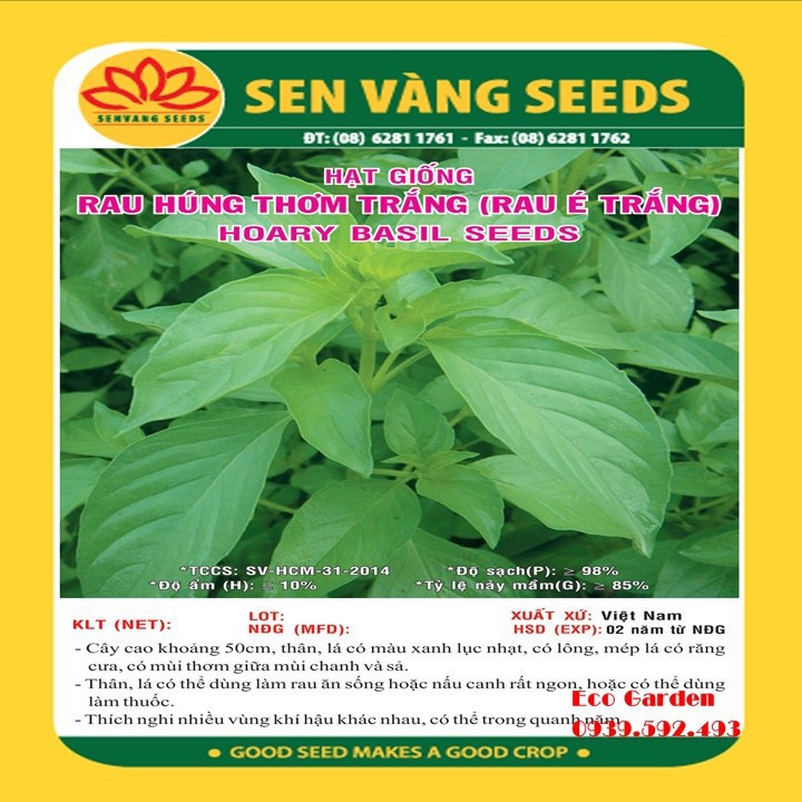 Hạt Giống Rau Quế Trắng (É Trắng) Phú Nông - 1g