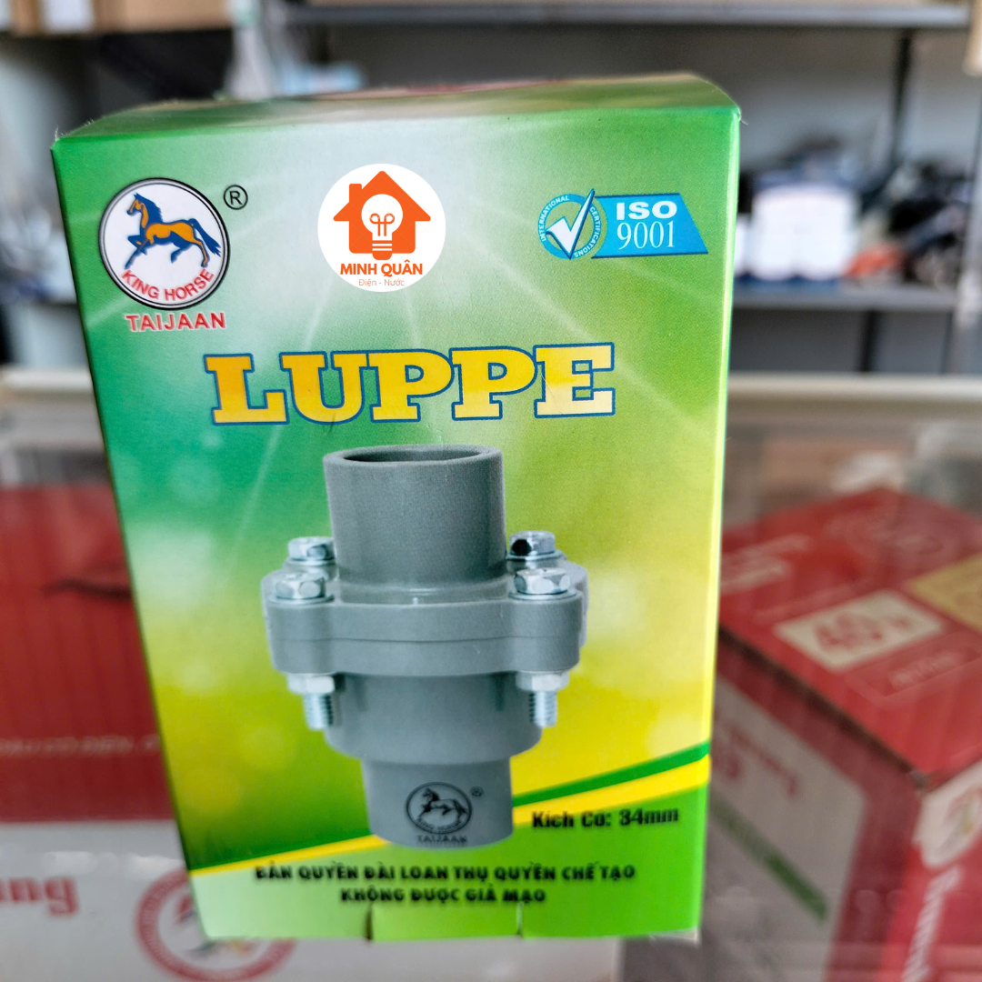 Luppe giếng khoan, luppe 1 chiều, van 1 chiều lò xo 4 ốc phi 34 TAIJAAN