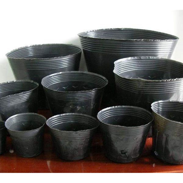 Chậu nhựa trồng cây đủ kích cỡ (1kg)