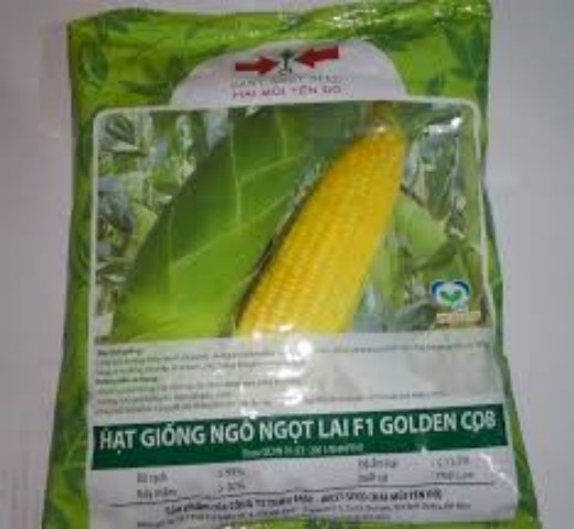 Hạt Giống NGô Ngọt Lai F1( Bắp Mỹ) - Hai Mũi Tên. Túi 500 Gram -  Chuẩn Giống.