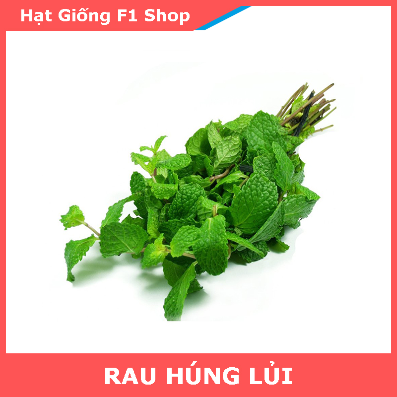 Hạt Giống Rau Húng Lủi (0.2 Gam)