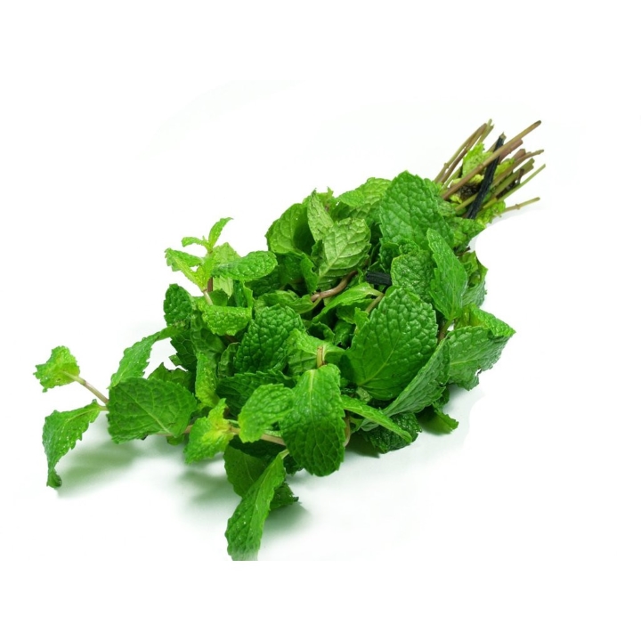 Hạt Giống Húng lủi Rado 931 (0.2g)