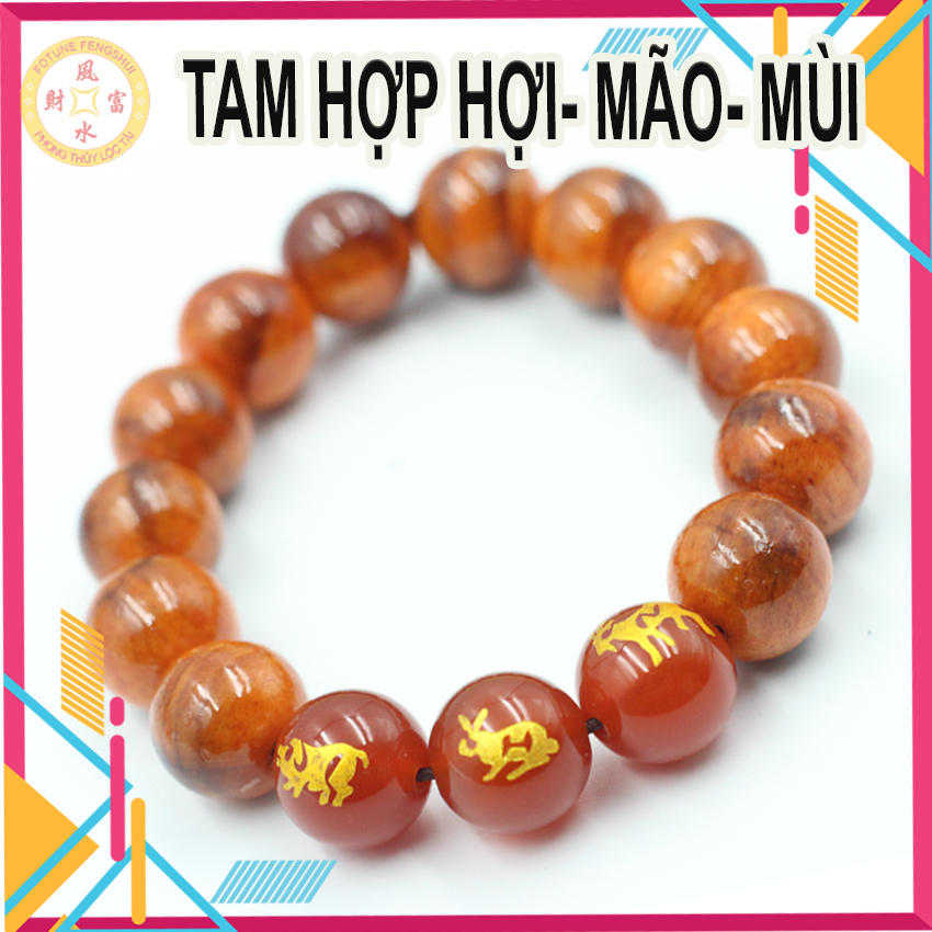 Vòng Tam hợp Hợi - Mão - Mùi