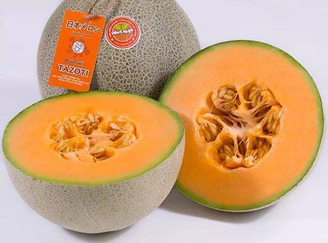 Hạt Giống Dưa Lưới Lai F1 Thái Lan Ruột Vàng, Trái To Giòn Ngọt