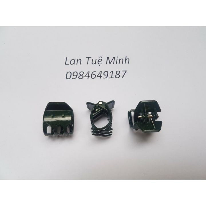 100 kẹp cố định lan thân lớn màu xanh