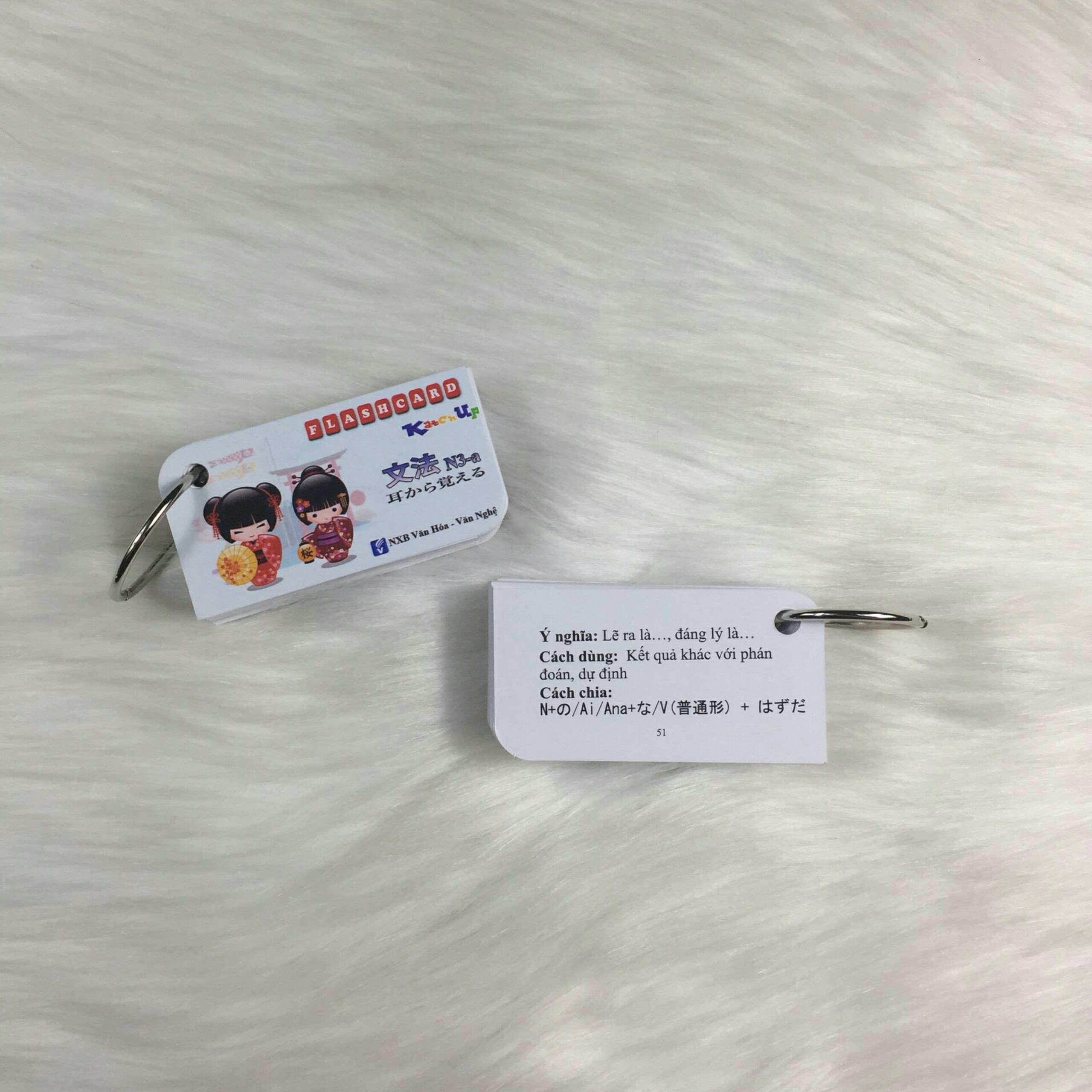 [HCM] Bộ Flashcard Ngữ Pháp Trung Cấp N3 ( Mimikara Oboeru)