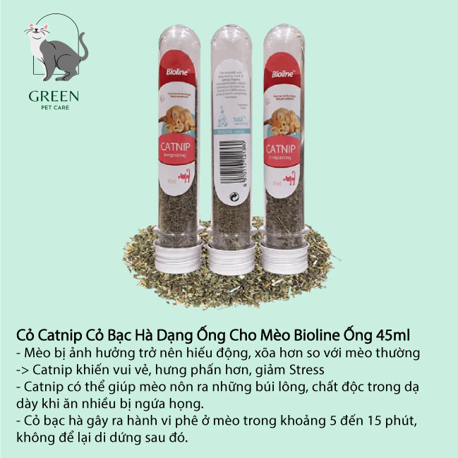 Catnip for cats
