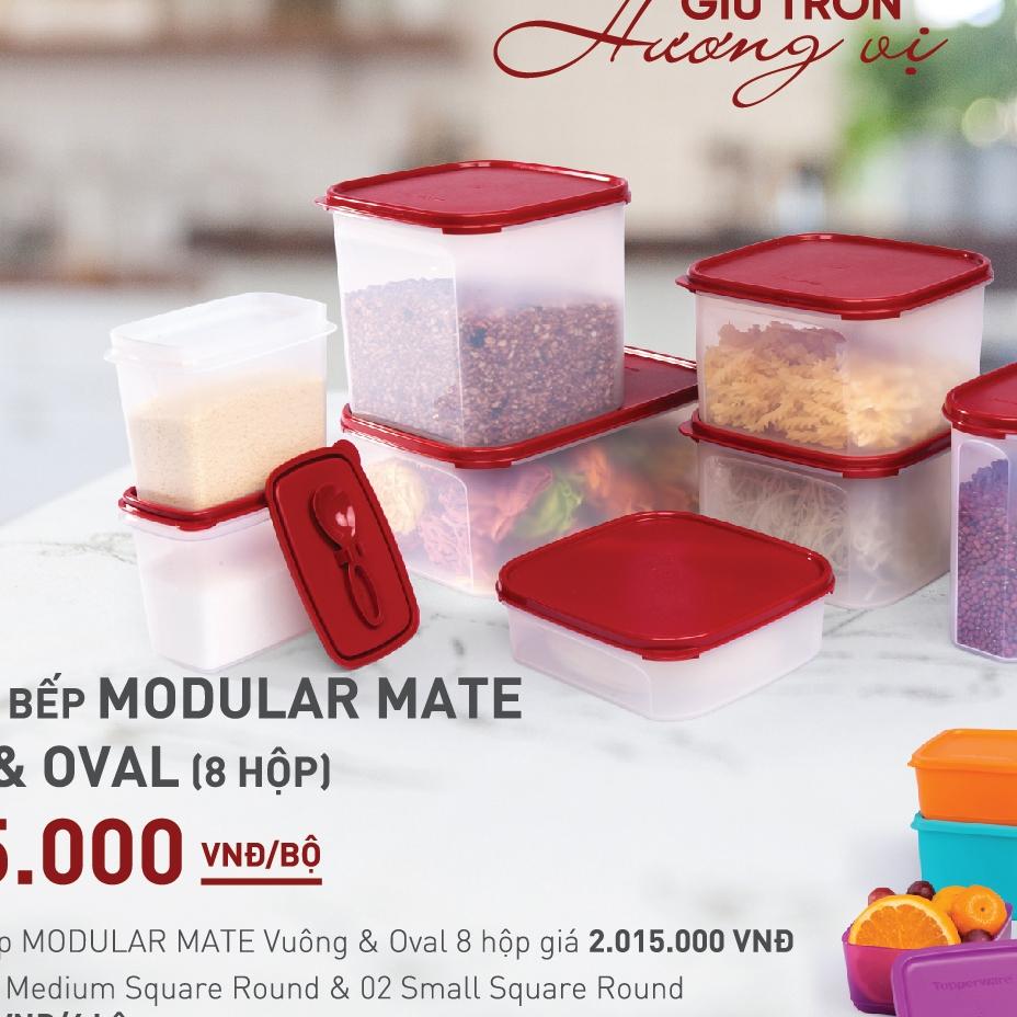 Bộ hộp kệ bếp Modular Mate Vuông & Oval set 8 Tupperware