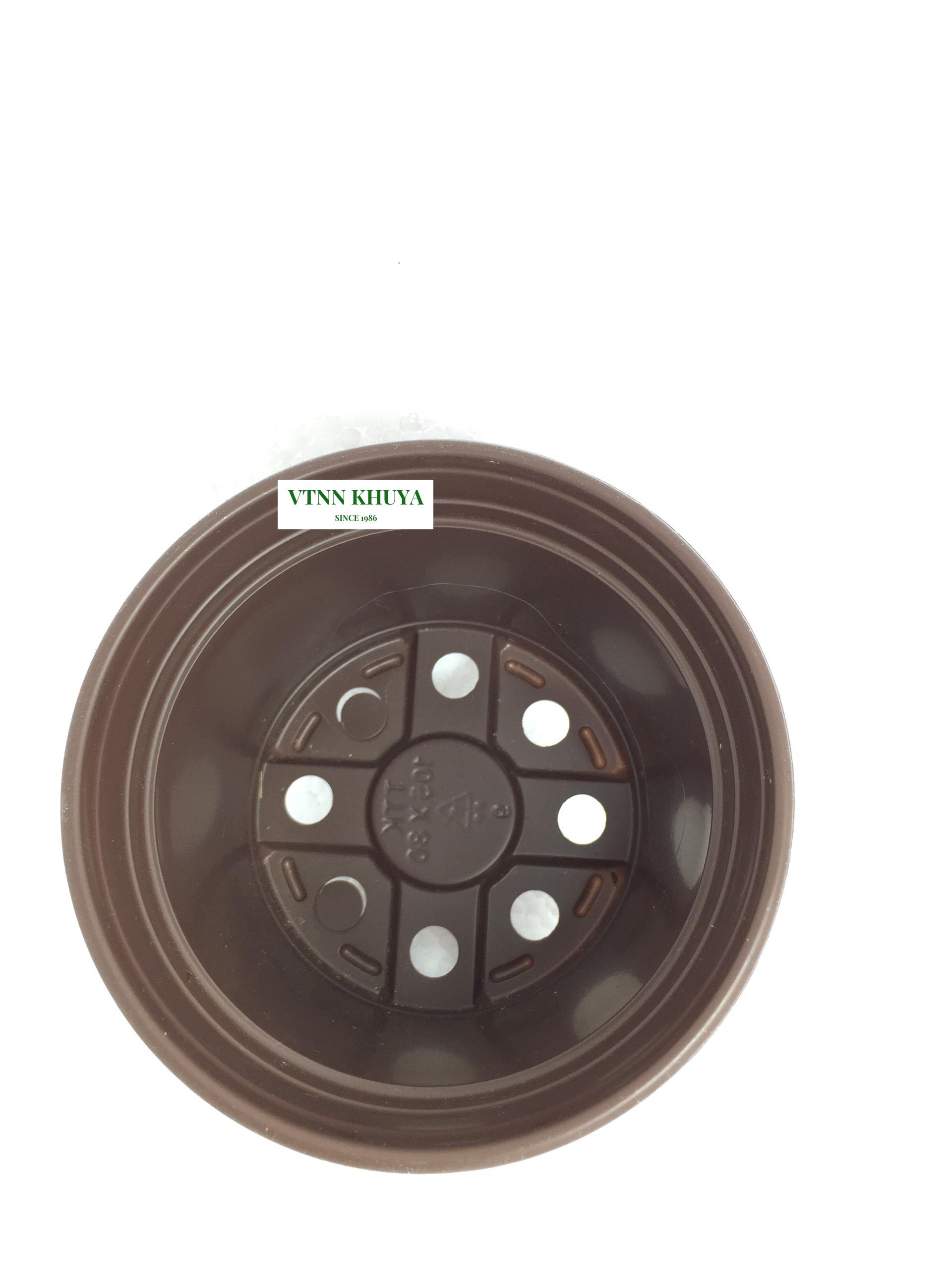 5 Chậu trồng cây nhựa PP 105x80