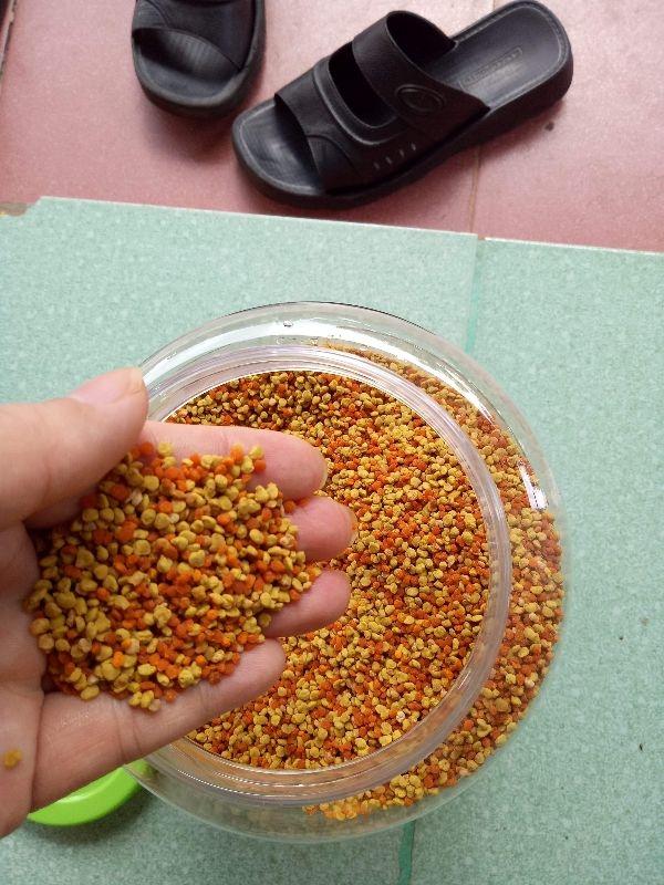 500g Phấn hoa rừng
