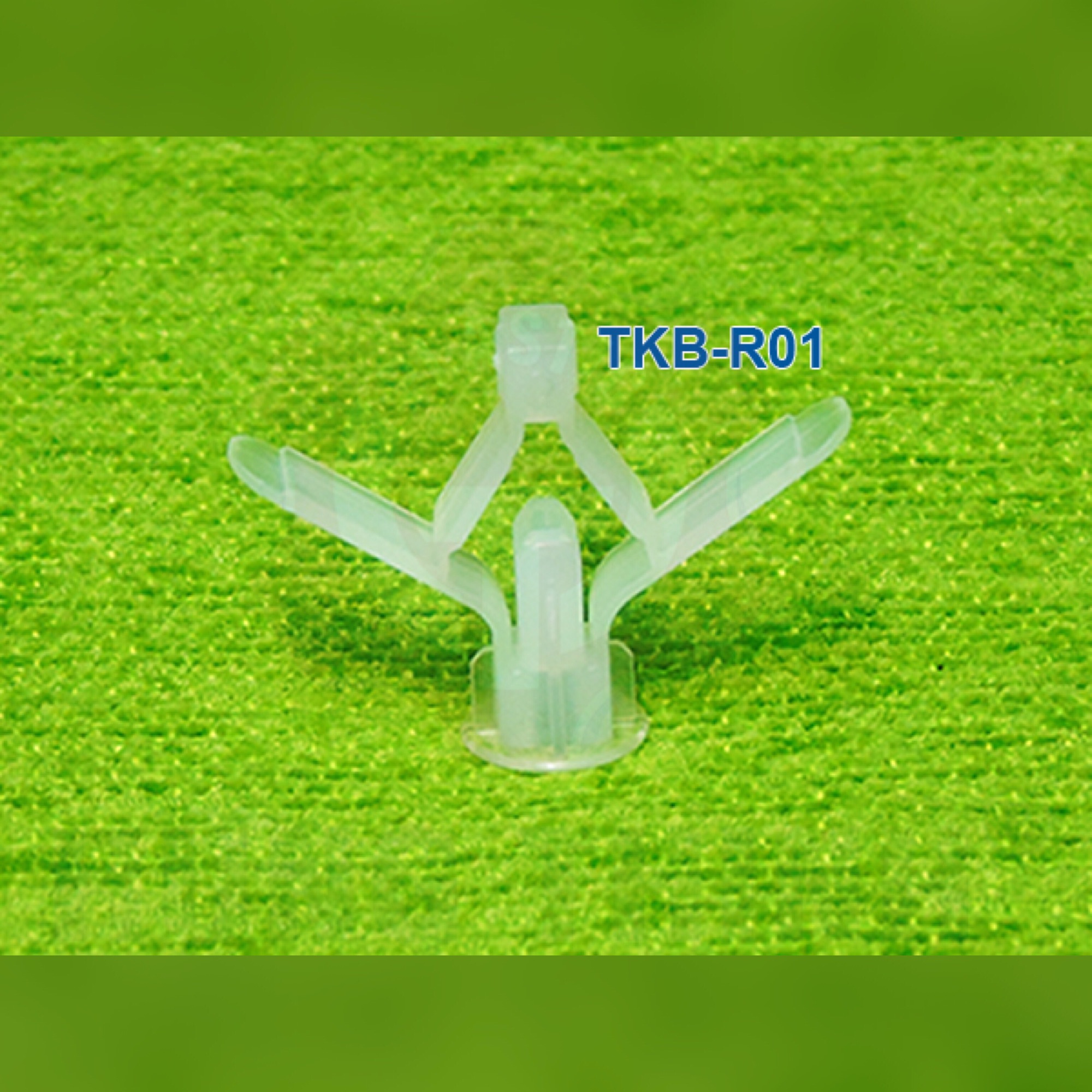 100 tắc kê bướm tốt