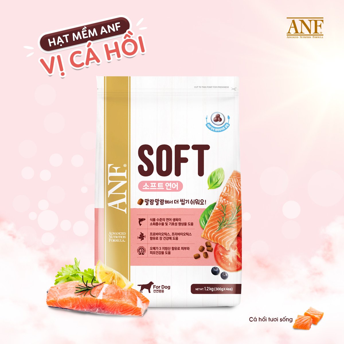 Thức Ăn Hạt Mềm ANF SOFT Cho Chó Mọi Lứa Tuổi Dễ Tuôi Hoá Từ Hàn Quốc - Vị Thịt Gà/Cá Hồi 1.2kg
