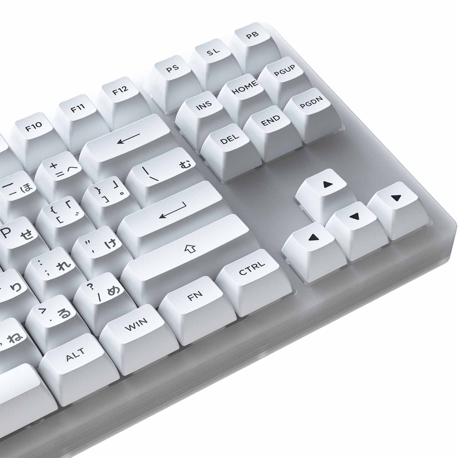 Bàn phím cơ AKKO ACR87 White (Hotswap / RGB / AKKO CS sw Jelly White)