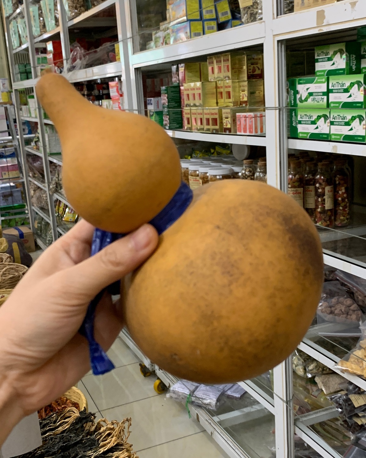 [HCM]BẦU HỒ LÔ 1 TRÁI