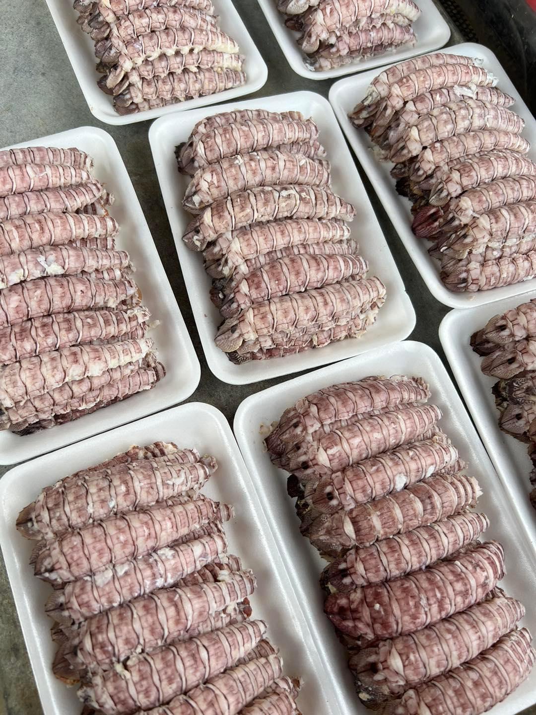 Thịt Tôm Tít (Hộp 500gr)
