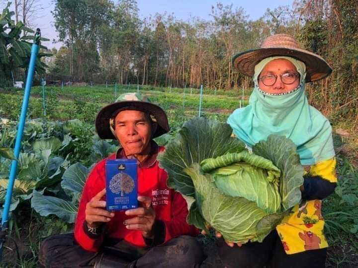 4 tree Phân Bón Hữu Cơ Cho Rau Củ Quả
