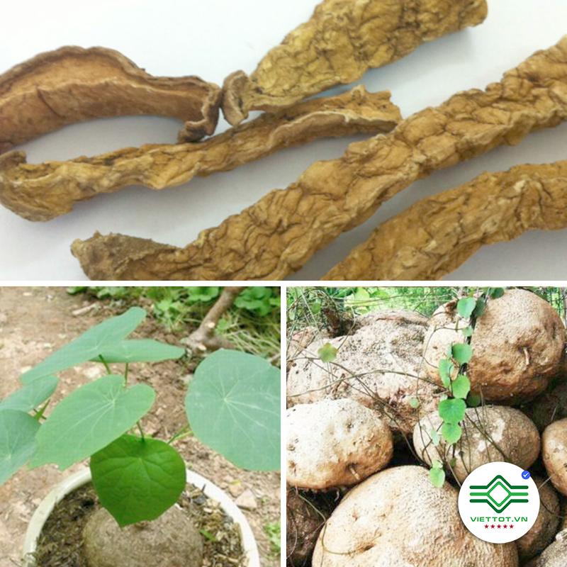 Củ Bình Vôi 1KG - VT163