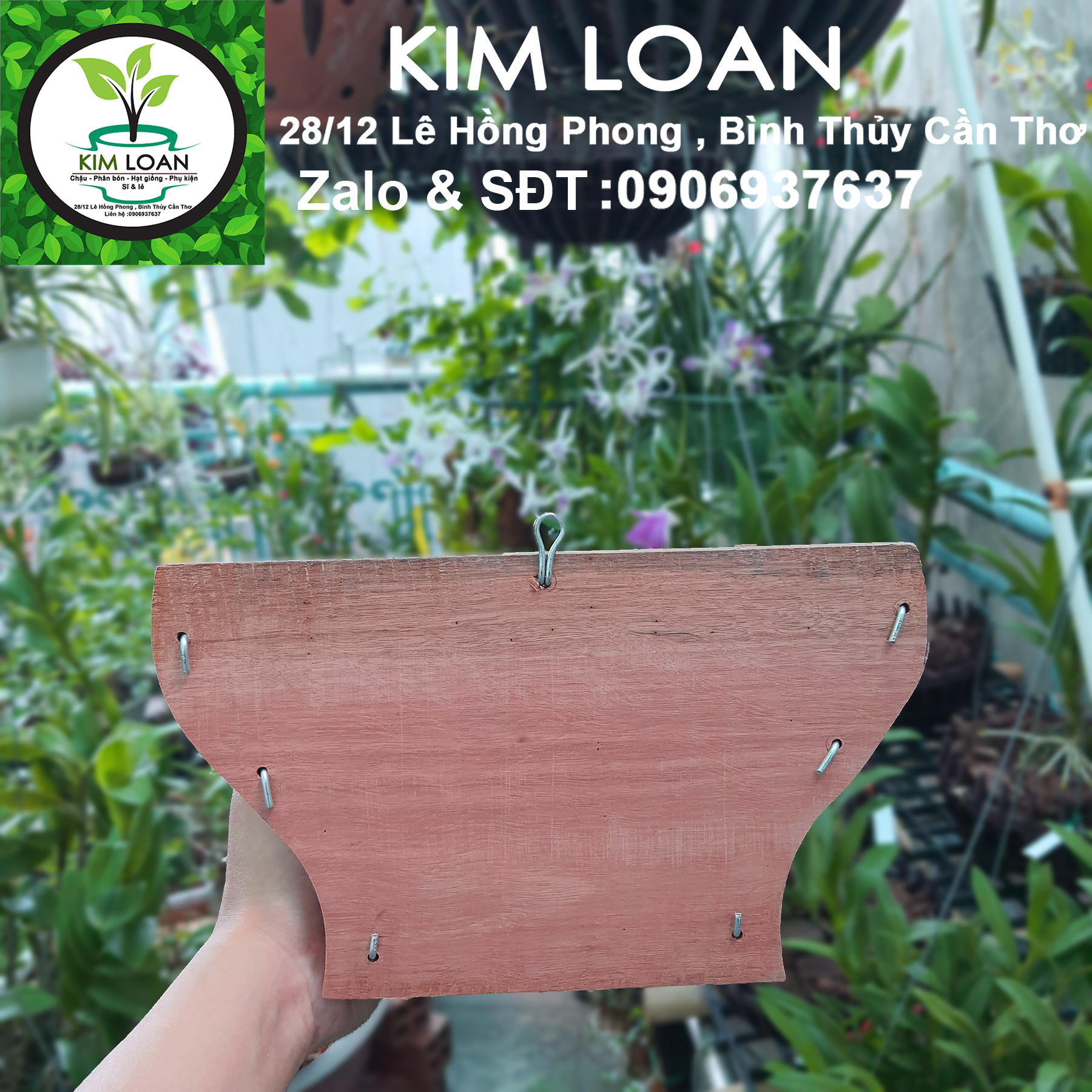 Chậu lan gỗ ốp tường