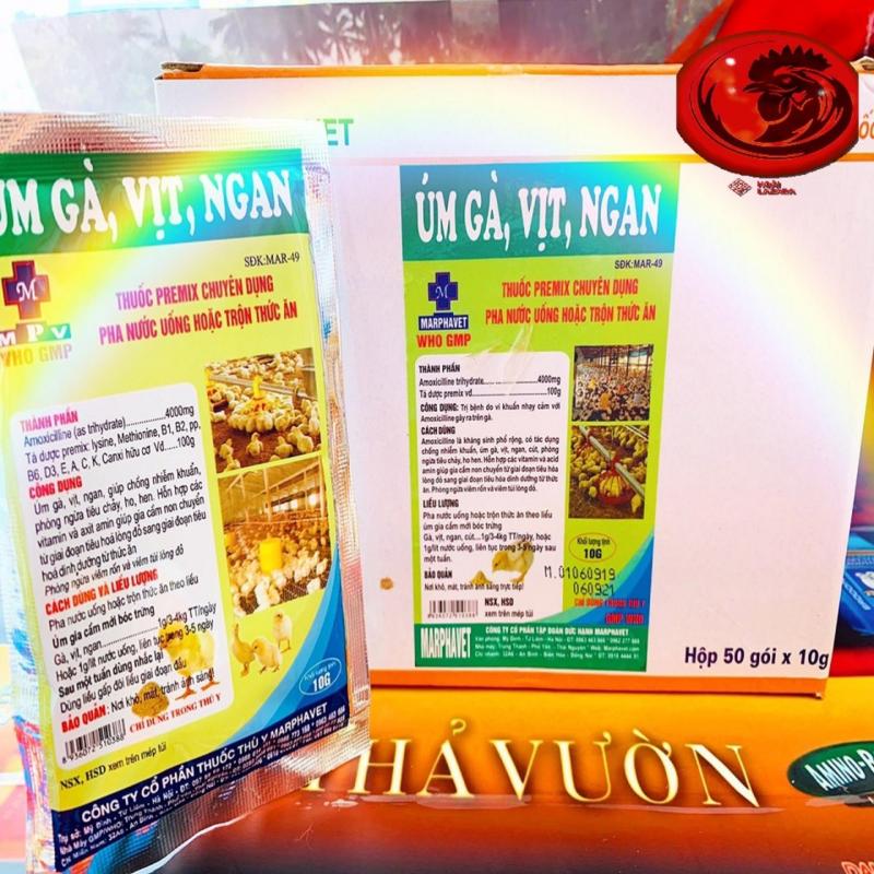 ÚM GÀ CON CAO CẤP KHỎE MẠNH, CHÓNG BỆNH TẬT 10 GÓI/ 10g