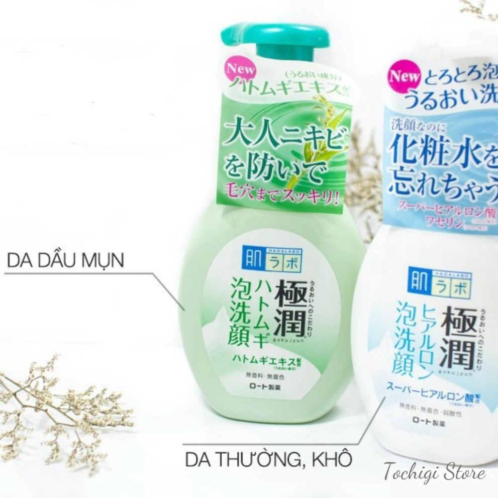 Sữa rửa mặt tạo bọt Hada Labo Nhật Bản