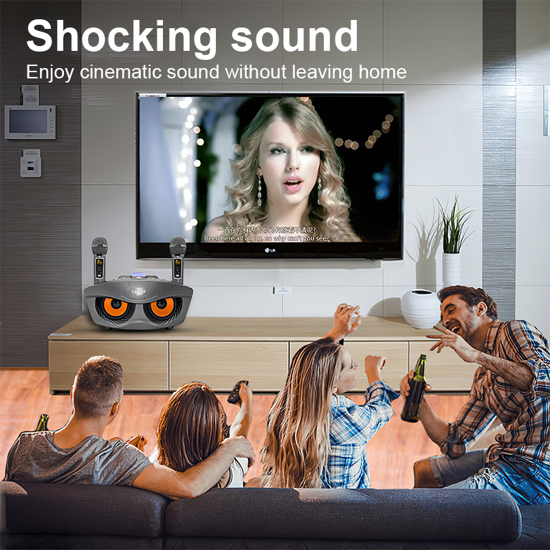 Loa Bluetooth Karaoke SDRD SD 306 Plus Bản Mới Nhất,Kèm 2 Micro Karaoke Không Dây,Chất Lượng âm Thanh Tuyệt Vời
