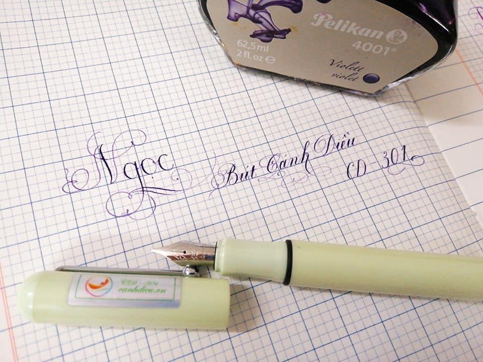 Bút máy Cánh Diều CD-301