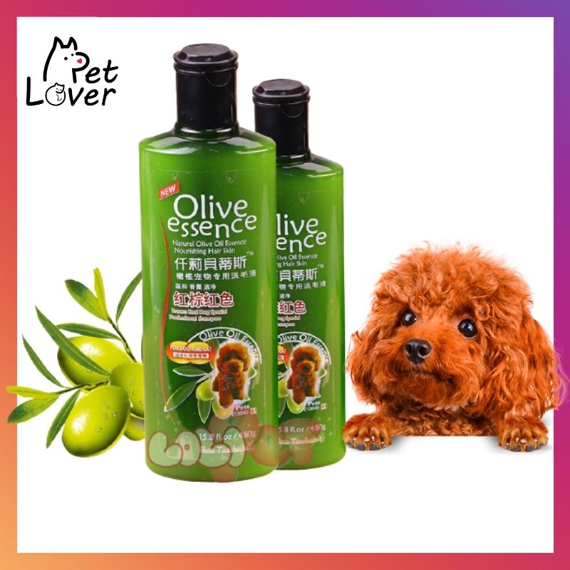 Sữa tắm cho chó poodle, chó lông nâu, sữa tắm olive 450ml, lưu hương thơm mát, diệt sạch vi khuẩn, lông bóng mượt - Petlover