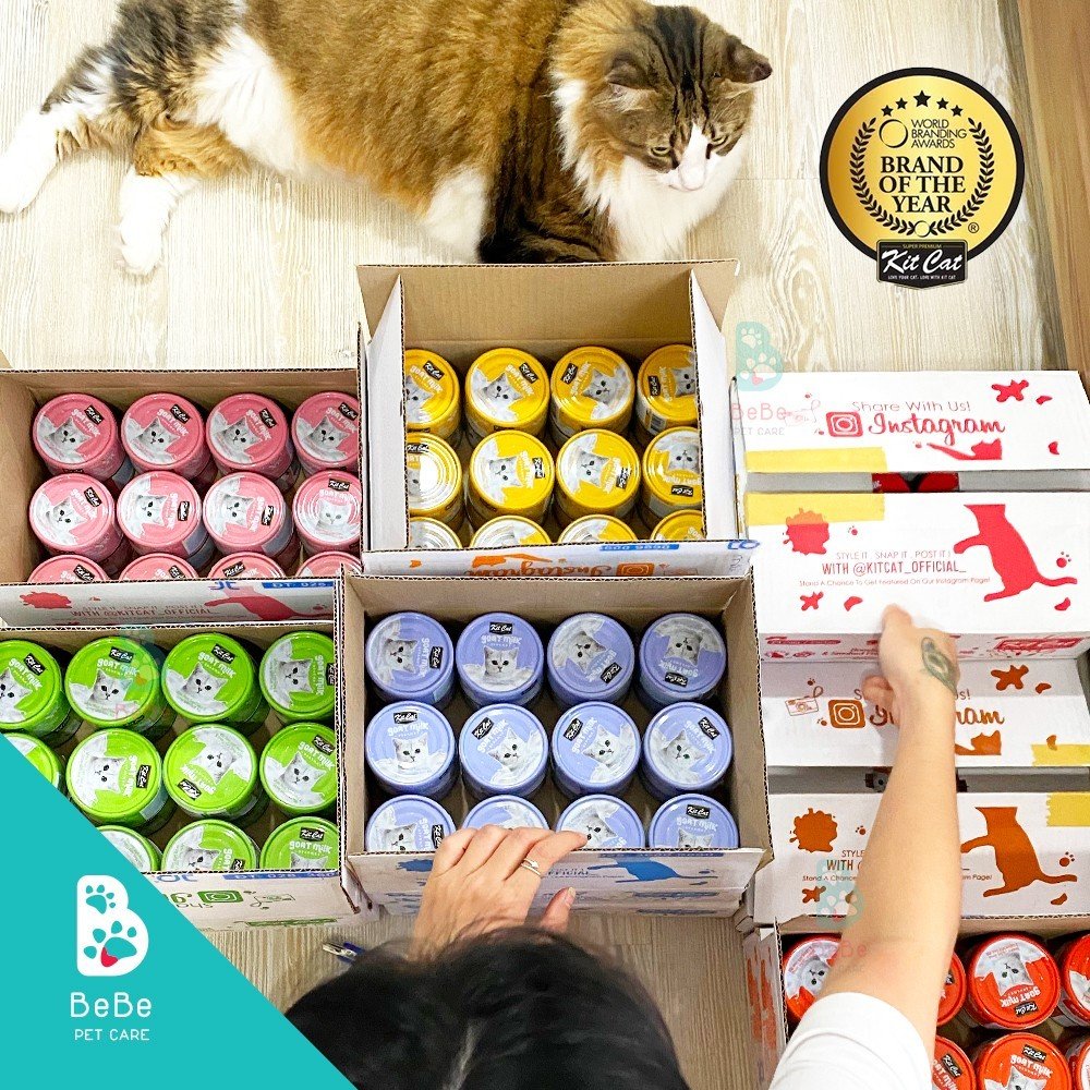 [Combo 10 - 12 Lon] Pate KITCAT SỮA DÊ Nhiều Vị Cho Mèo Mọi Lứa Tuổi